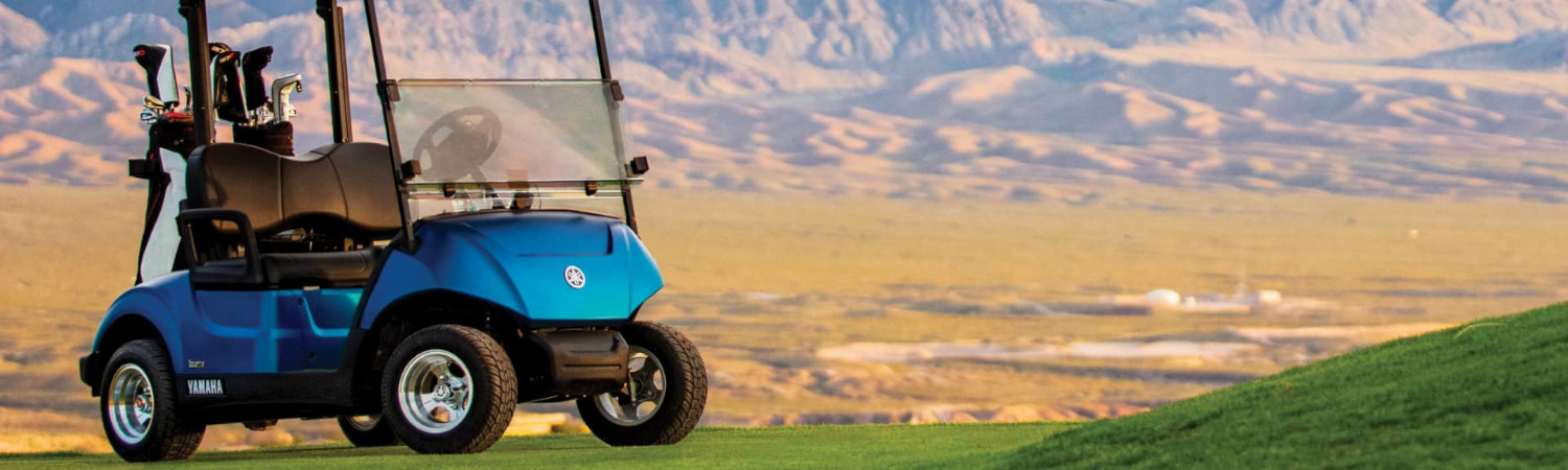 2022 Yamaha Golf Cart Fleet Drive2® for sale in W&B Golf Carts, Hudson, New York